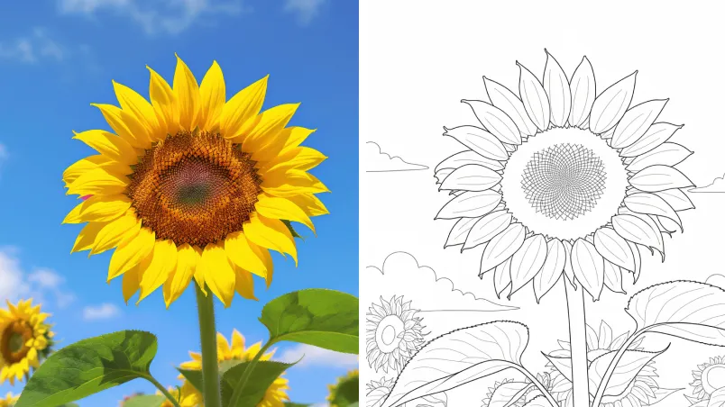 Line Drawing - Picture to Drawing Style Preview